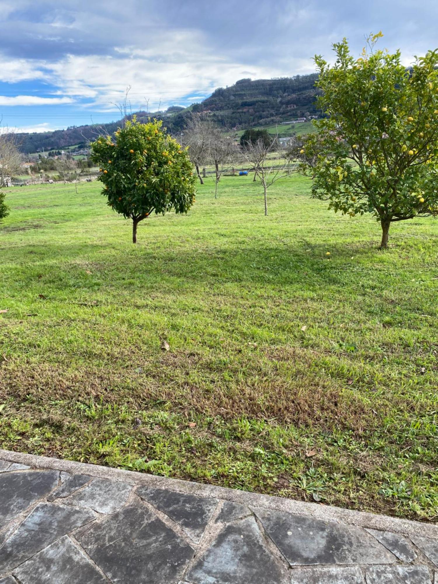 La Quinta De Tunte Villa Villaviciosa  Eksteriør billede